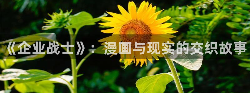 韩国免费yy漫画