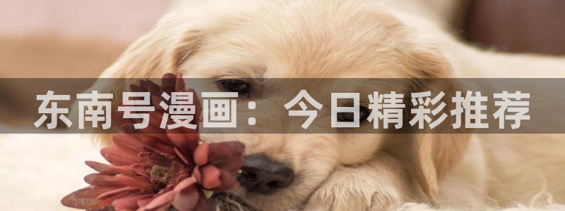 yy漫画网免费入口