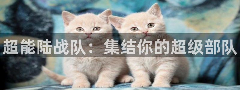 yy漫画网页登录入口：超能陆战队：集结你的超级部队