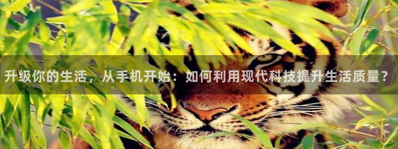 yy漫画免费漫画首页：升级你的生活，从手机开始：如何利用现代科技提升生活质量？