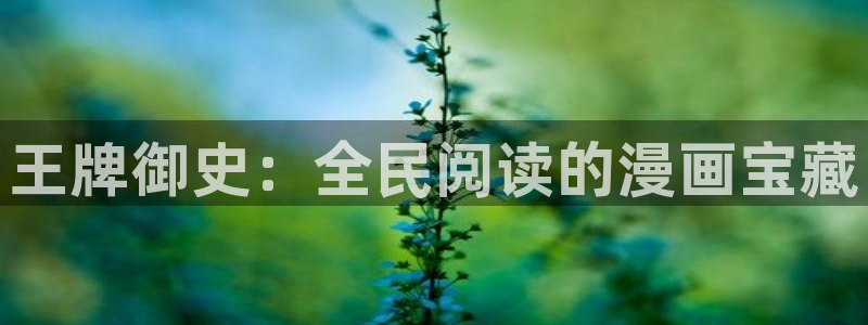 yy漫画羞羞：王牌御史：全民阅读的漫画宝藏