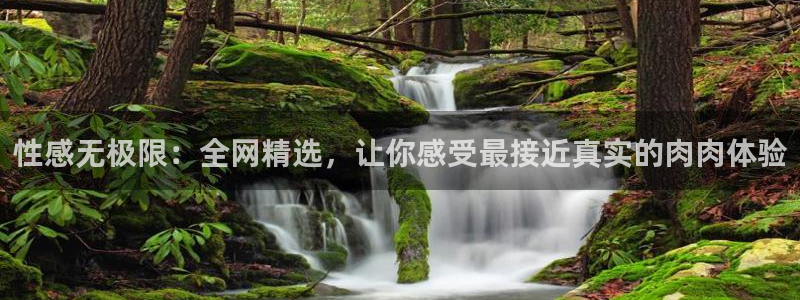 yy漫画无：性感无极限：全网精选，让你感受最接近真实的肉肉体验