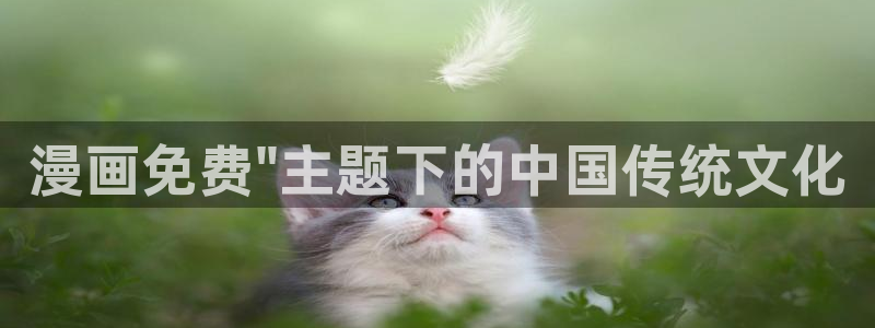 yy漫画在线观看入口