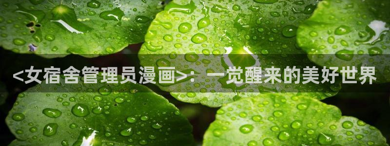 yy漫画网址入口