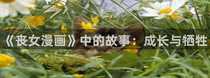 韩国yy漫画在线观看