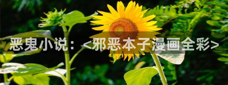 yy漫画网页版入口
