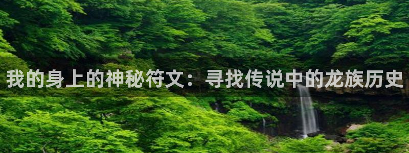 yy漫画登入：我的身上的神秘符文：寻找传说中的龙族历史