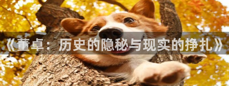 yy漫画黄：《董卓：历史的隐秘与现实的挣扎》