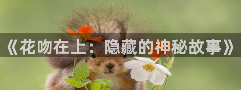 yy漫画画免费读漫画：《花吻在上：隐藏的神秘故事》