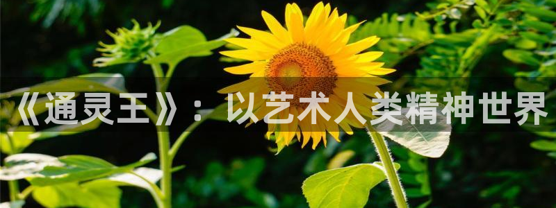 yy漫画网站免费观看：《通灵王》：以艺术人类精神世界