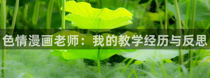 yy漫画无删减：色情漫画老师：我的教学经历与反思